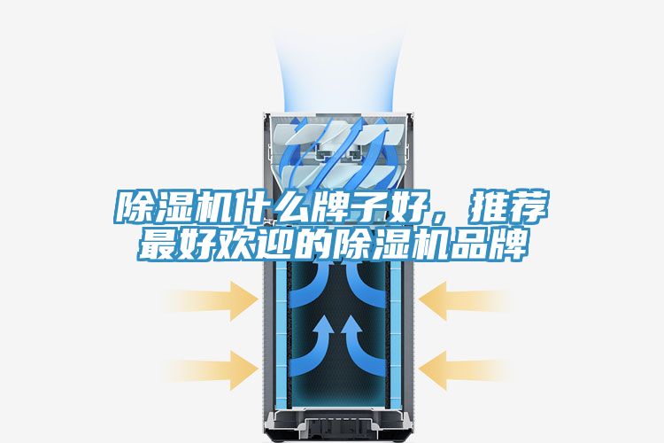 深夜福利视频网站什麽牌子好，推薦最好歡迎的深夜福利视频网站品牌