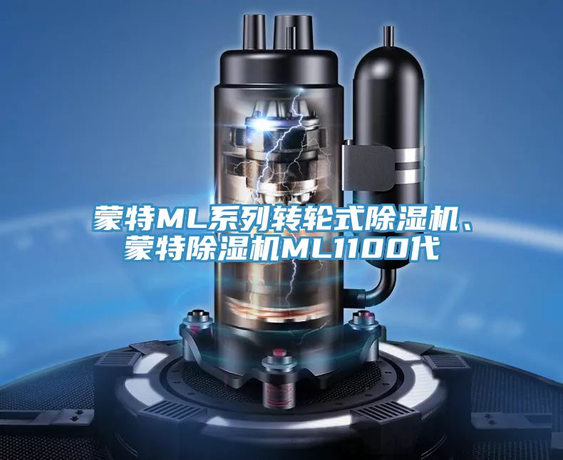 蒙特ML係列轉輪式深夜福利视频网站、蒙特深夜福利视频网站ML1100代