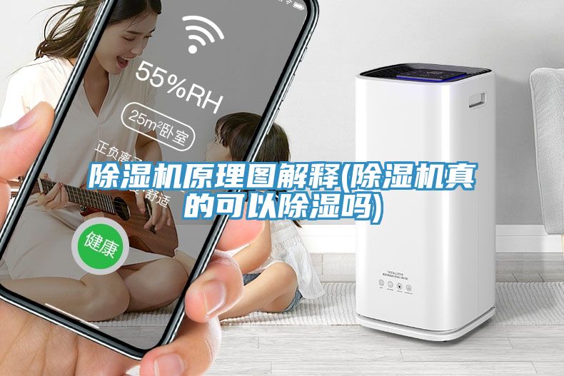 深夜福利视频网站原理圖解釋(深夜福利视频网站真的可以除濕嗎)