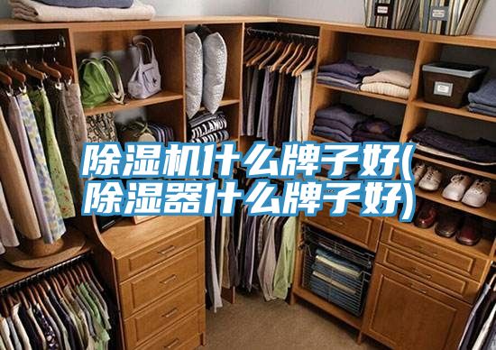 深夜福利视频网站什麽牌子好(除濕器什麽牌子好)