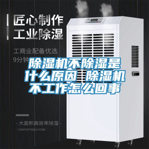 深夜福利视频网站不除濕是什麽原因 深夜福利视频网站不工作怎麽回事