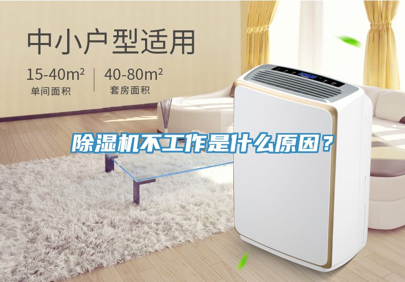 深夜福利视频网站不工作是什麽原因？
