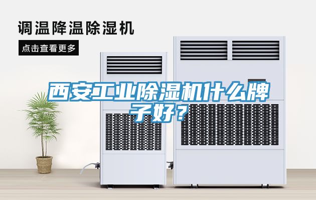 西安工業深夜福利视频网站什麽牌子好？