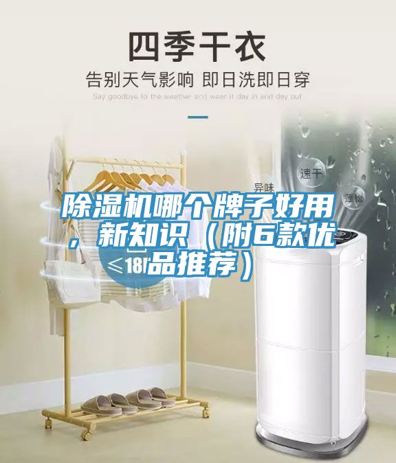 深夜福利视频网站哪個牌子好用，新知識（附6款優品推薦）