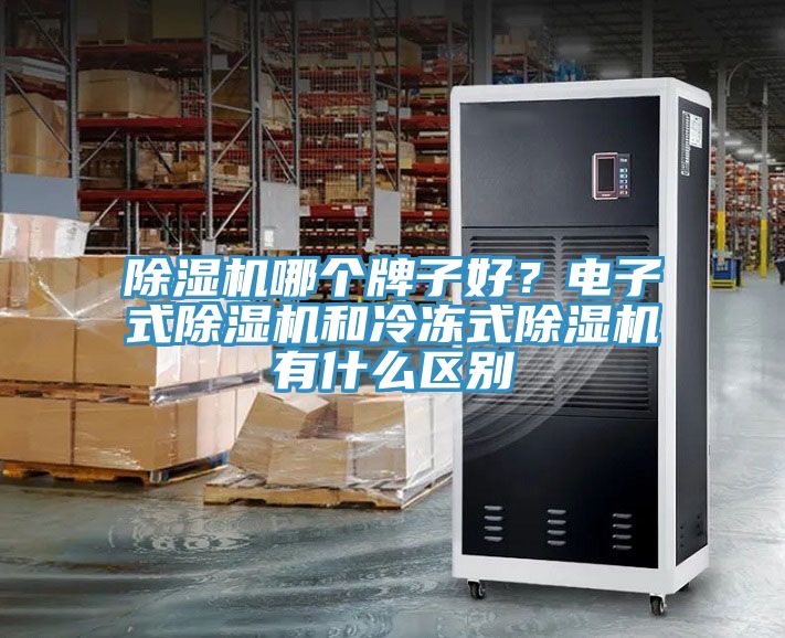 深夜福利视频网站哪個牌子好？電子式深夜福利视频网站和冷凍式深夜福利视频网站有什麽區別