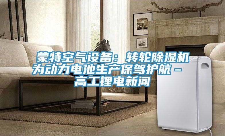 蒙特空氣設備：轉輪深夜福利视频网站為動力電池生產保駕護航– 高工鋰電新聞