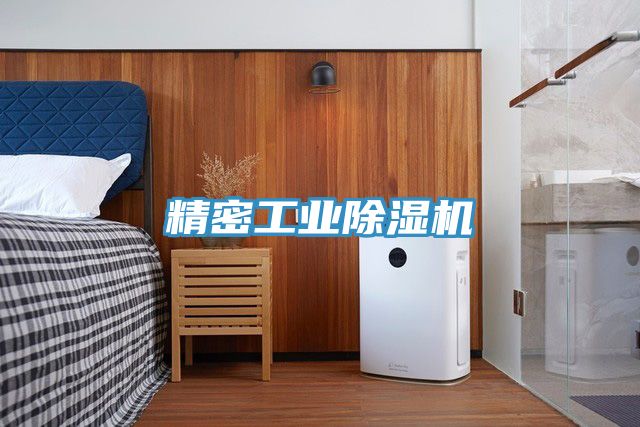 精密工業深夜福利视频网站