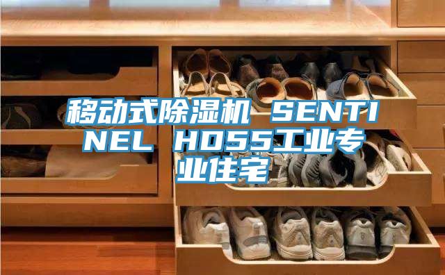 移動式深夜福利视频网站 SENTINEL HD55工業專業住宅