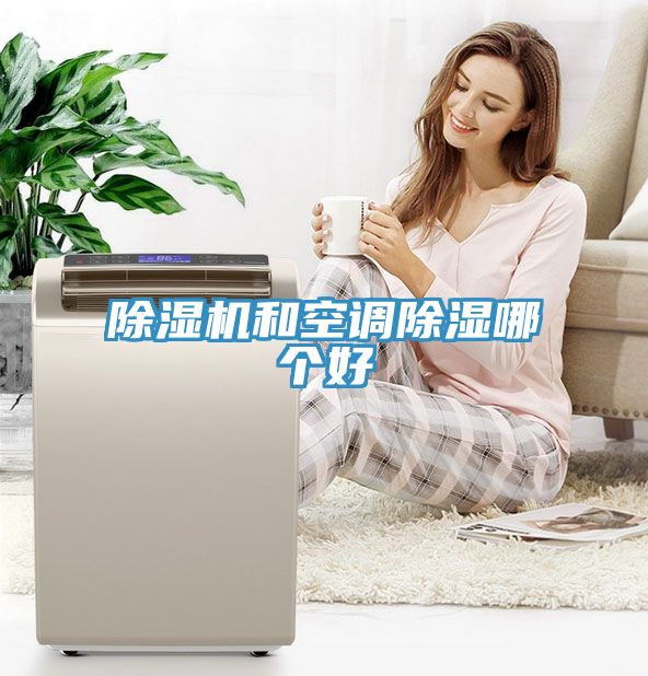 深夜福利视频网站和空調除濕哪個好