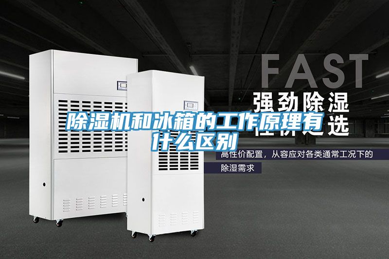深夜福利视频网站和冰箱的工作原理有什麽區別