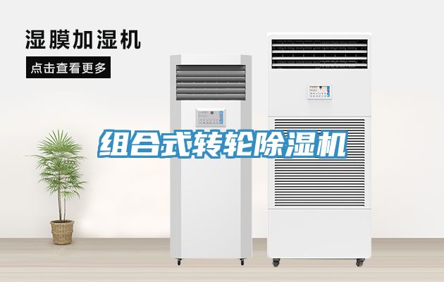 組合式轉輪深夜福利视频网站