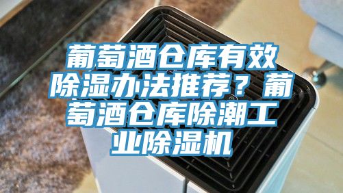 葡萄酒倉庫有效除濕辦法推薦？葡萄酒倉庫除潮工業深夜福利视频网站