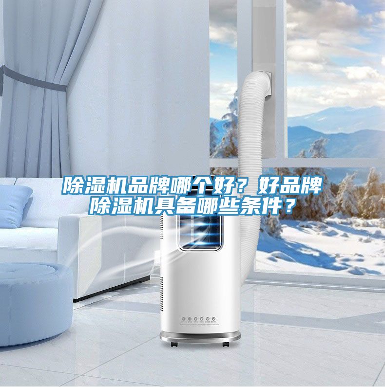 深夜福利视频网站品牌哪個好？好品牌深夜福利视频网站具備哪些條件？