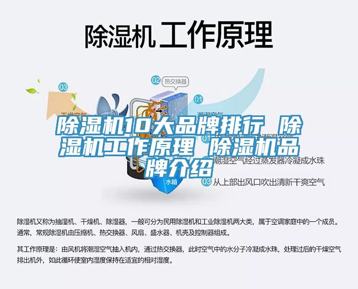 深夜福利视频网站10大品牌排行 深夜福利视频网站工作原理 深夜福利视频网站品牌介紹