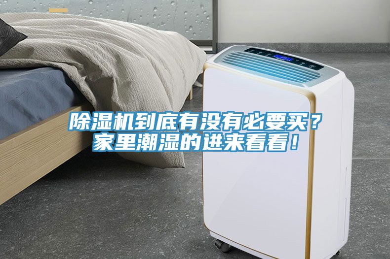 深夜福利视频网站到底有沒有必要買？家裏潮濕的進來看看！