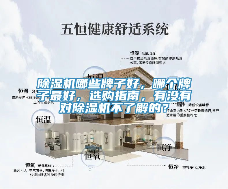 深夜福利视频网站哪些牌子好，哪個牌子最好，選購指南，有沒有對深夜福利视频网站不了解的？