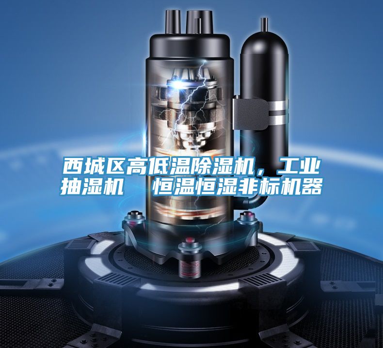西城區高低溫深夜福利视频网站，工業抽濕機  恒溫恒濕非標機器