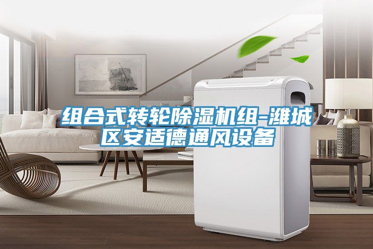 組合式轉輪深夜福利视频网站組-濰城區安適德通風設備