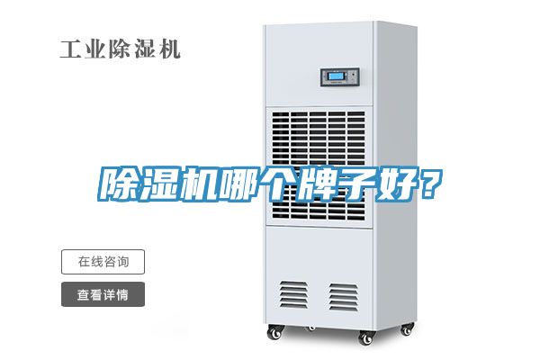 深夜福利视频网站哪個牌子好？