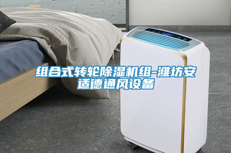 組合式轉輪深夜福利视频网站組-濰坊安適德通風設備