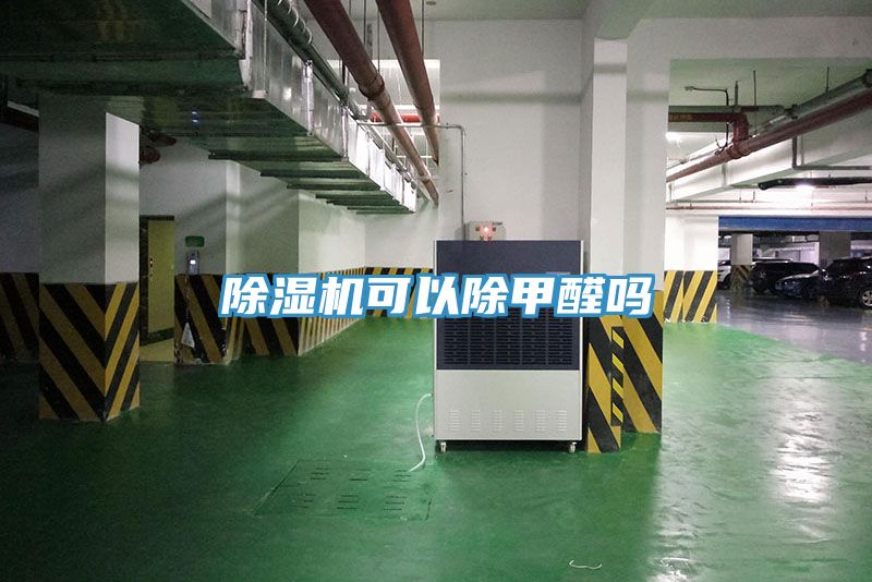 深夜福利视频网站可以除甲醛嗎