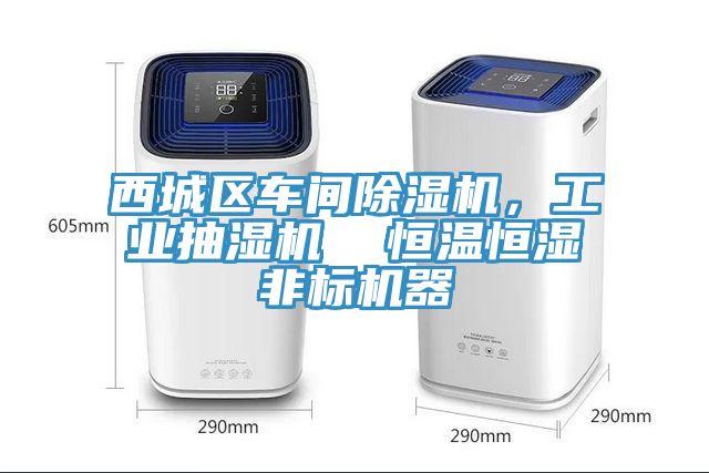 西城區車間深夜福利视频网站，工業抽濕機  恒溫恒濕非標機器