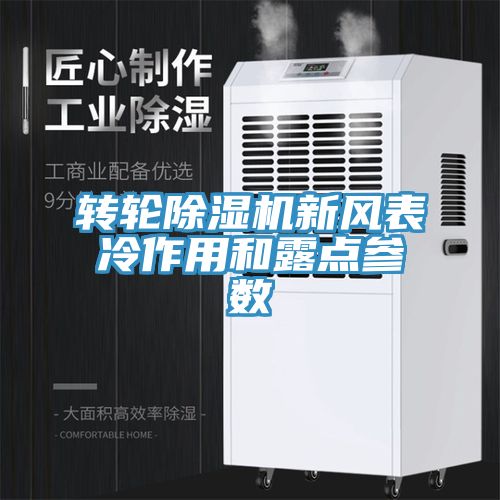 轉輪深夜福利视频网站新風表冷作用和露點參數
