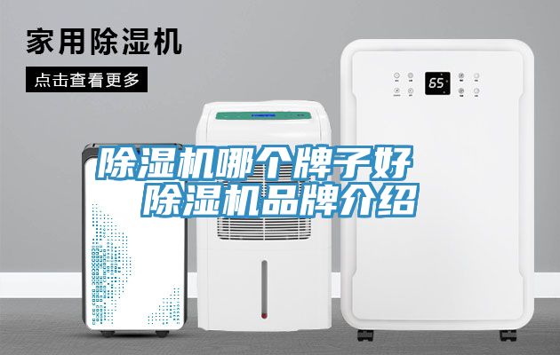 深夜福利视频网站哪個牌子好  深夜福利视频网站品牌介紹