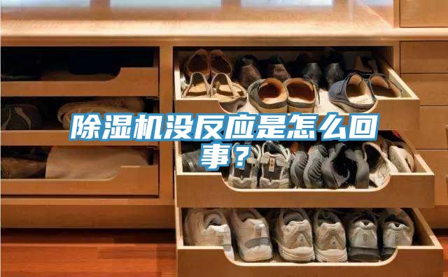 深夜福利视频网站沒反應是怎麽回事？