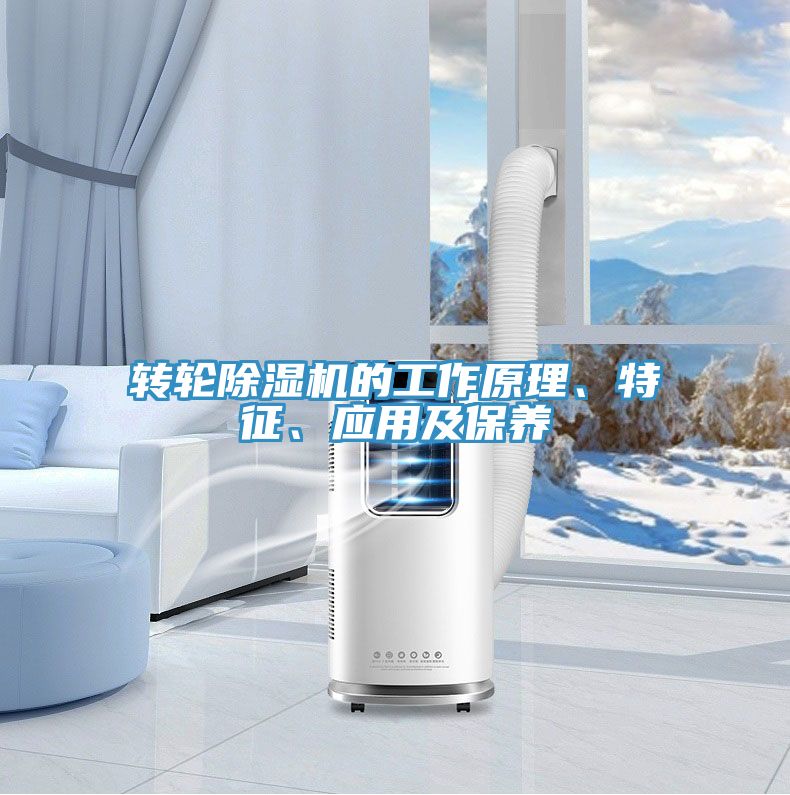 轉輪深夜福利视频网站的工作原理、特征、應用及保養