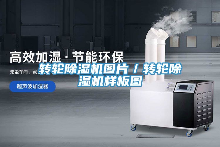 轉輪深夜福利视频网站圖片／轉輪深夜福利视频网站樣板圖