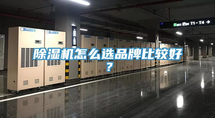 深夜福利视频网站怎麽選品牌比較好？