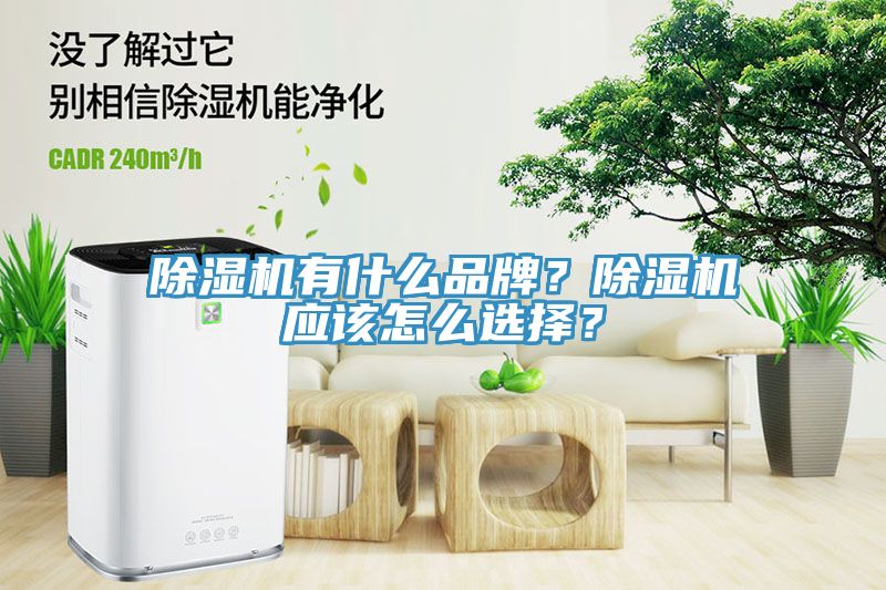 深夜福利视频网站有什麽品牌？深夜福利视频网站應該怎麽選擇？