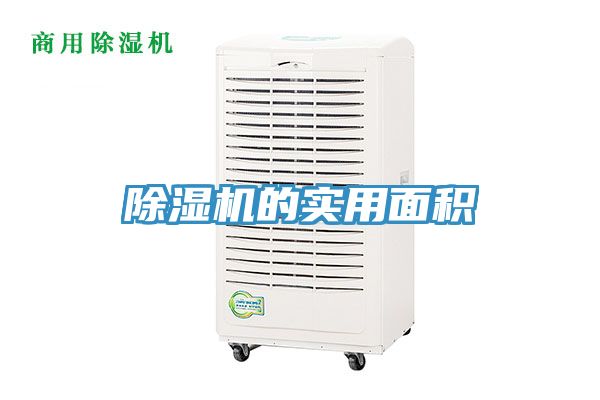 深夜福利视频网站的實用麵積