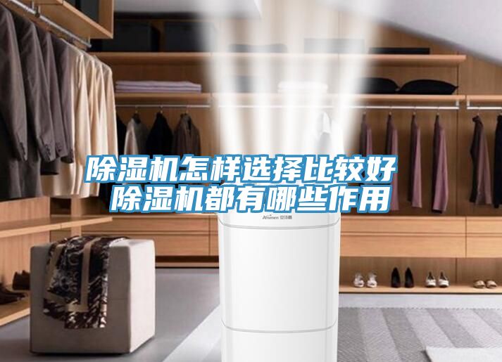 深夜福利视频网站怎樣選擇比較好 深夜福利视频网站都有哪些作用