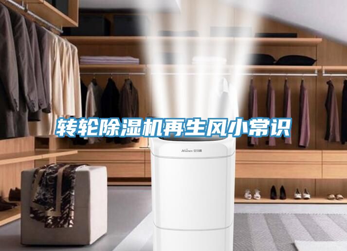 轉輪深夜福利视频网站再生風小常識