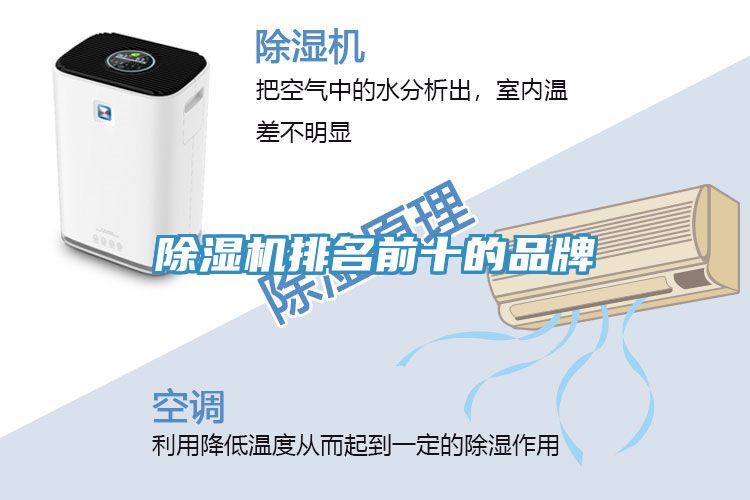 深夜福利视频网站排名前十的品牌