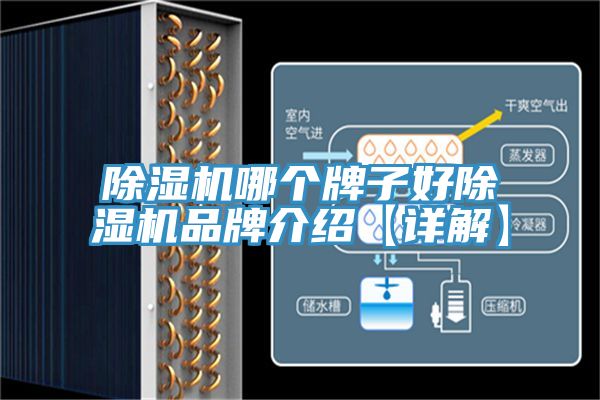 深夜福利视频网站哪個牌子好深夜福利视频网站品牌介紹【詳解】