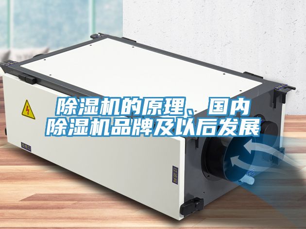 深夜福利视频网站的原理、國內深夜福利视频网站品牌及以後發展