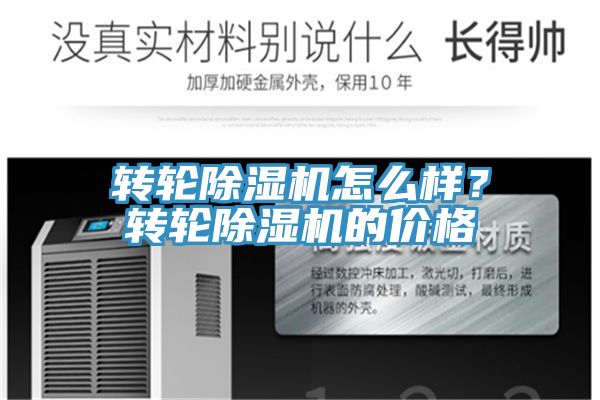 轉輪深夜福利视频网站怎麽樣？轉輪深夜福利视频网站的價格