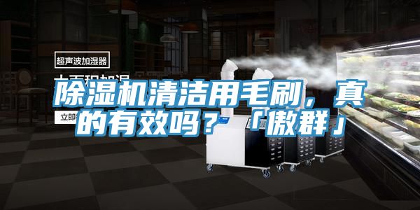 深夜福利视频网站清潔用毛刷，真的有效嗎？「傲群」
