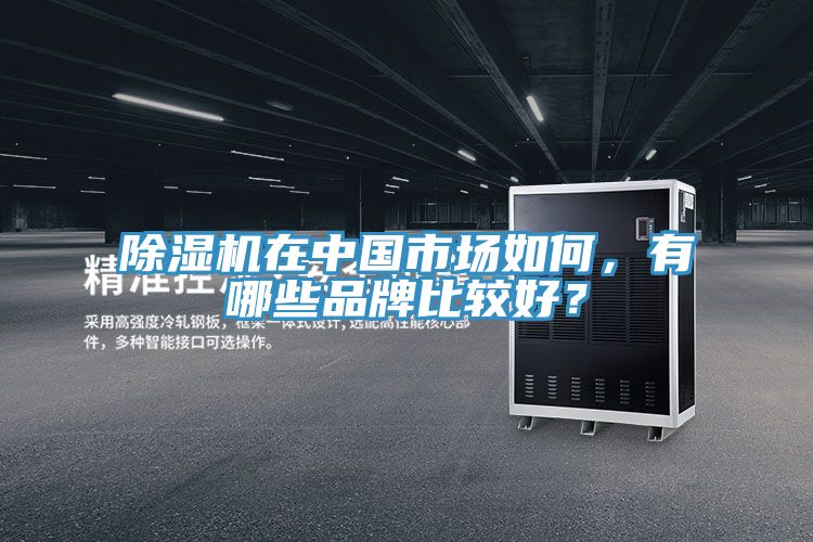 深夜福利视频网站在中國市場如何，有哪些品牌比較好？