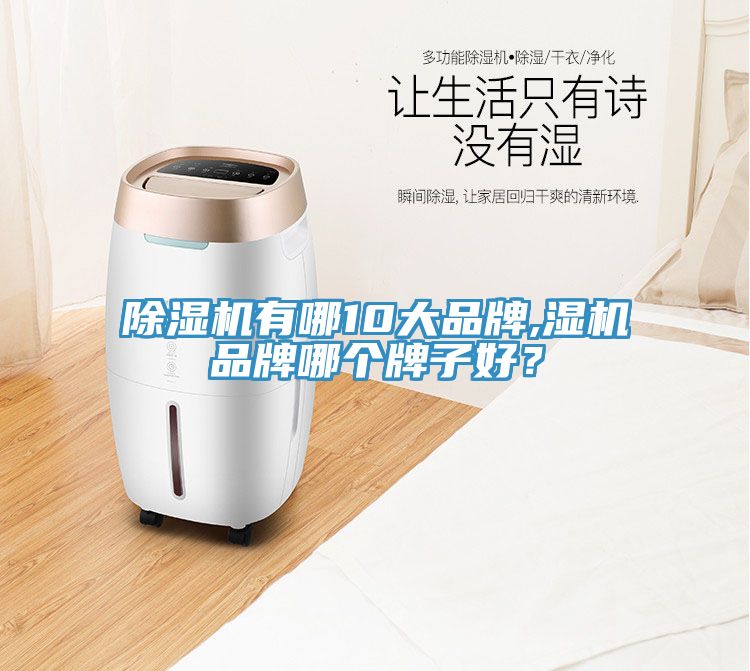 深夜福利视频网站有哪10大品牌,濕機品牌哪個牌子好？