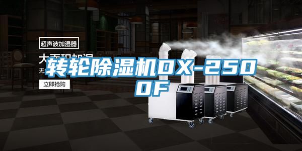 轉輪深夜福利视频网站DX-2500F