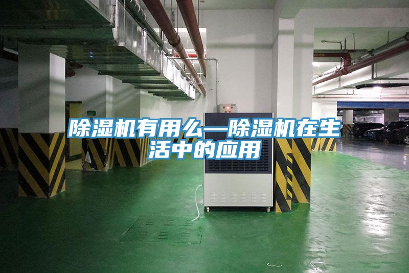 深夜福利视频网站有用麽—深夜福利视频网站在生活中的應用