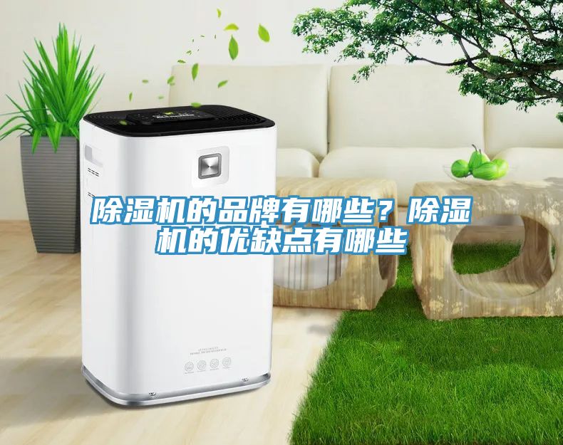 深夜福利视频网站的品牌有哪些？深夜福利视频网站的優缺點有哪些