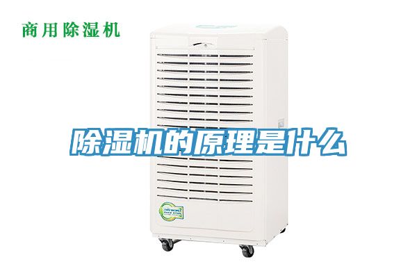 深夜福利视频网站的原理是什麽