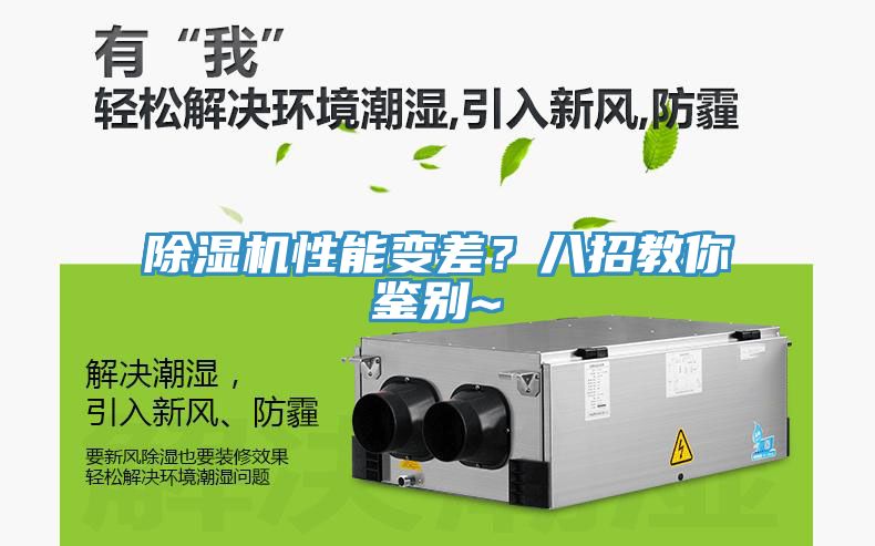深夜福利视频网站性能變差？八招教你鑒別~