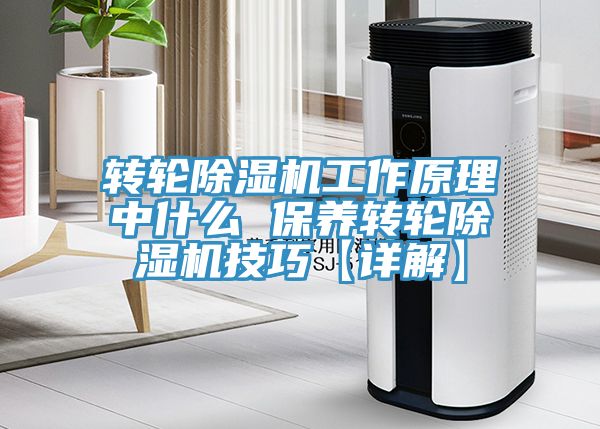 轉輪深夜福利视频网站工作原理中什麽 保養轉輪深夜福利视频网站技巧【詳解】