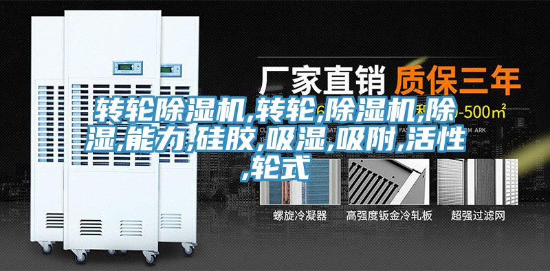 轉輪深夜福利视频网站,轉輪,深夜福利视频网站,除濕,能力,矽膠,吸濕,吸附,活性,輪式